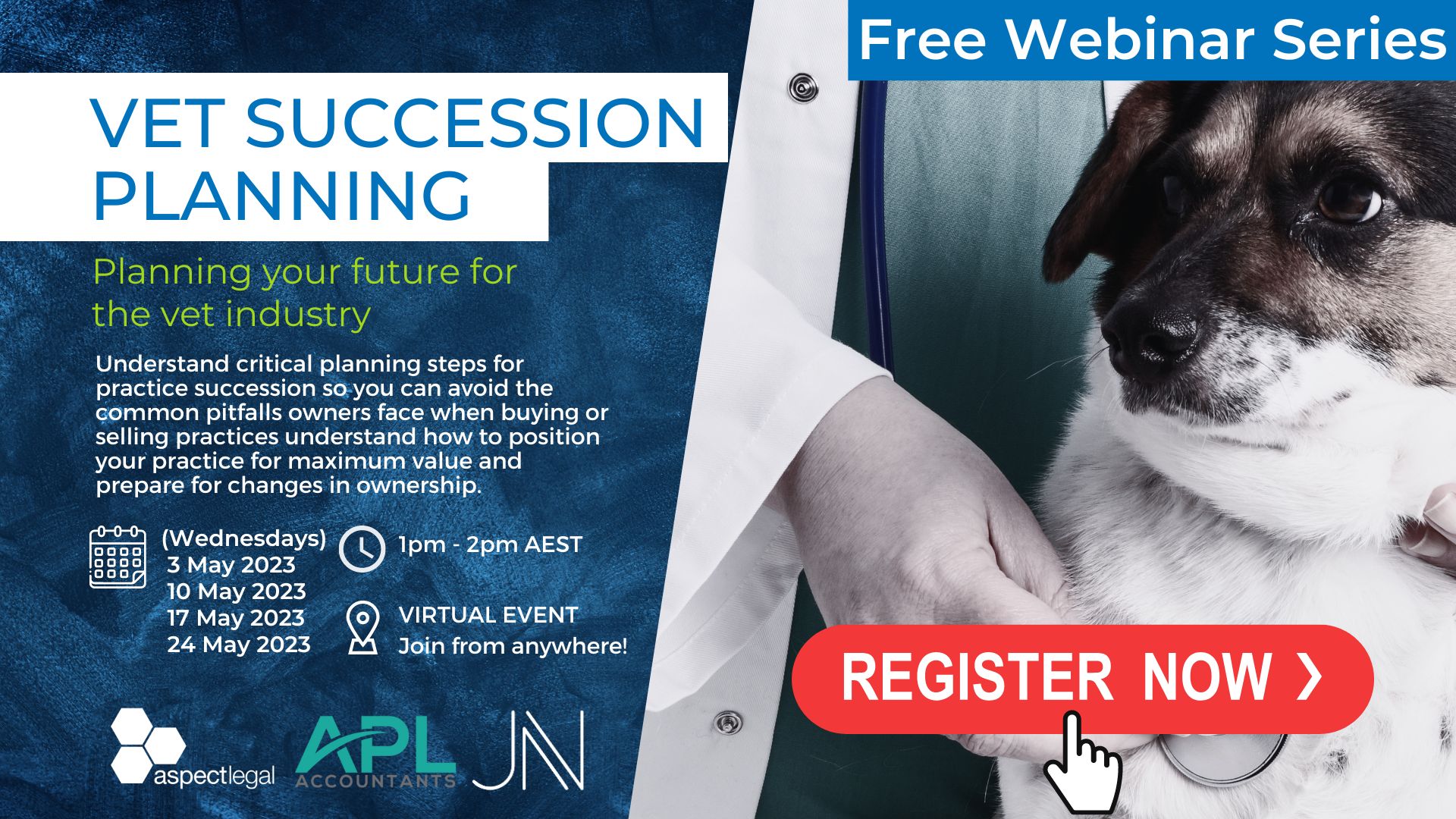 vet succession planning